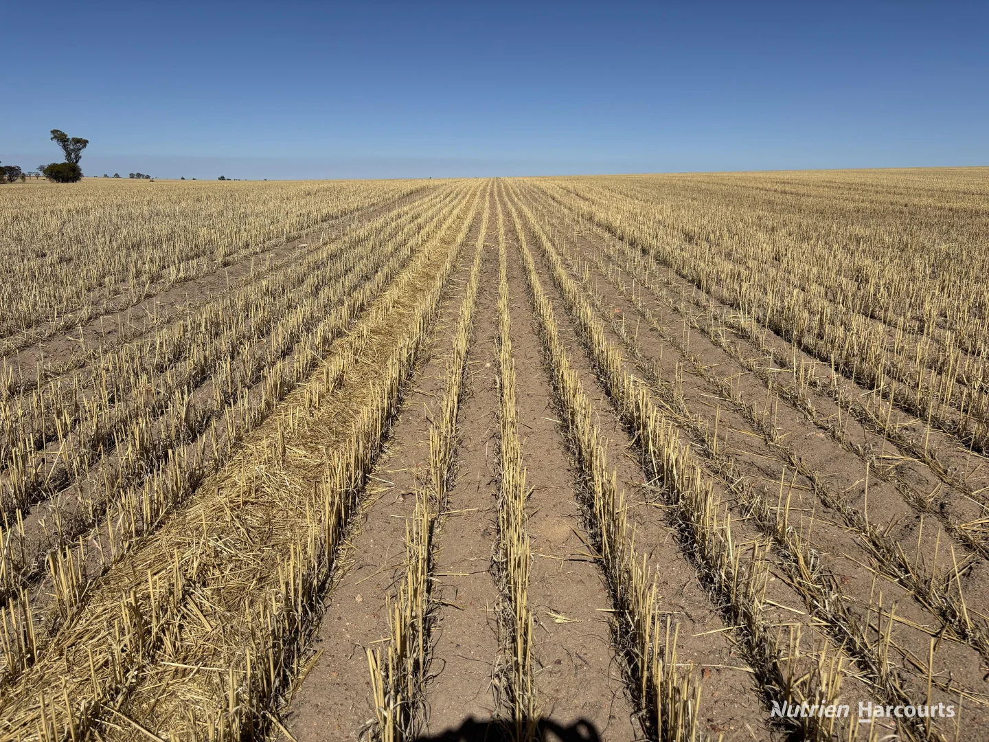 Additional image 7 of . 'Scotts', Yelbeni WA 6487