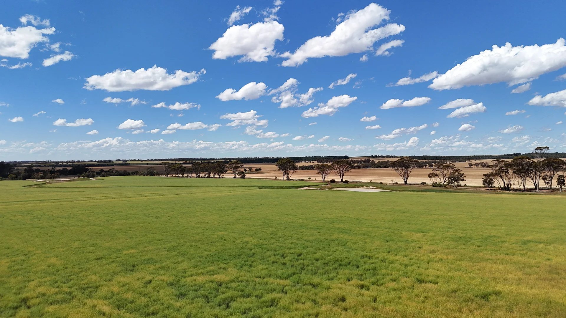 Additional image 7 of Kolonga Downs 175 McAuliffe Road, Katanning WA 6317