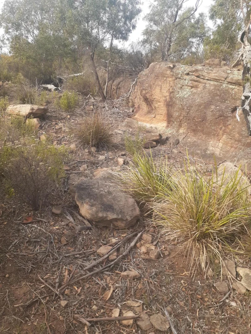 Additional image 10 of 1356 Tea Tree Rd, Campania TAS 7026