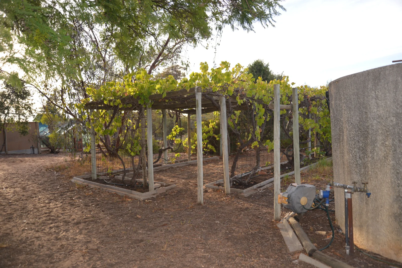 Additional image 20 of 49-53 Monash Avenue, Underbool VIC 3509