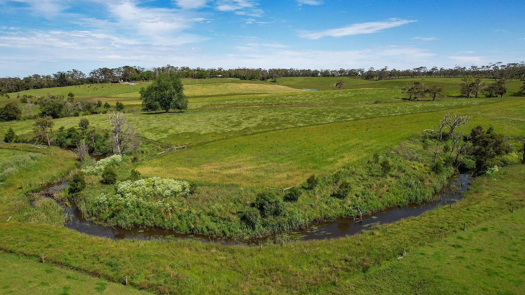 Additional image 39 of 335 Rollos Road, Panmure VIC 3265