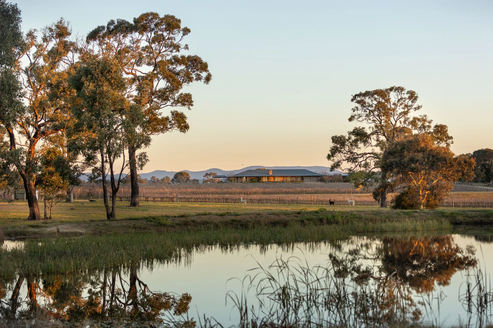 Additional image 29 of 168 Lomas Lane, Nulkaba NSW 2325