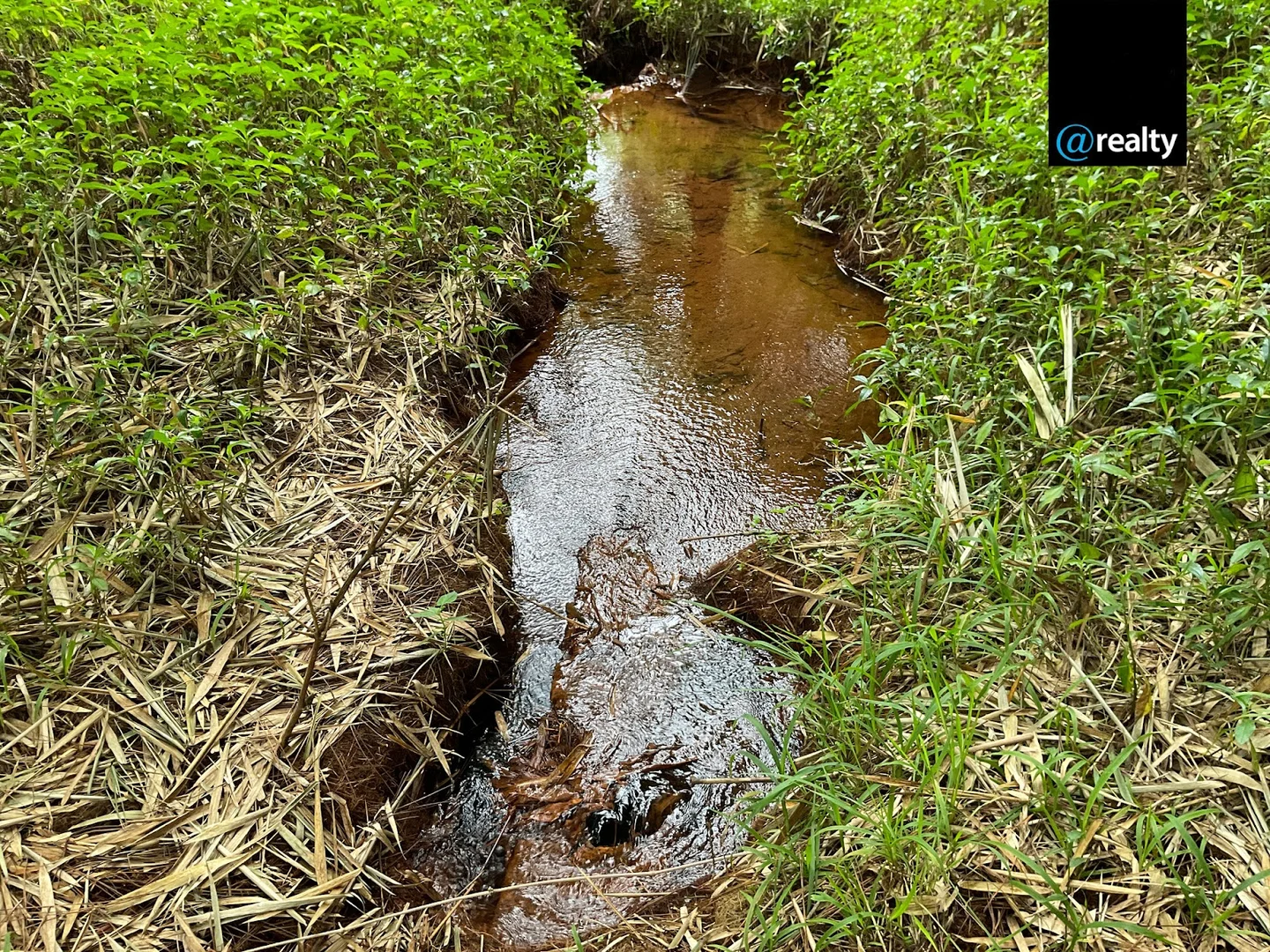 Additional image 60 of 6 South Arm Close, Ravenshoe QLD 4888