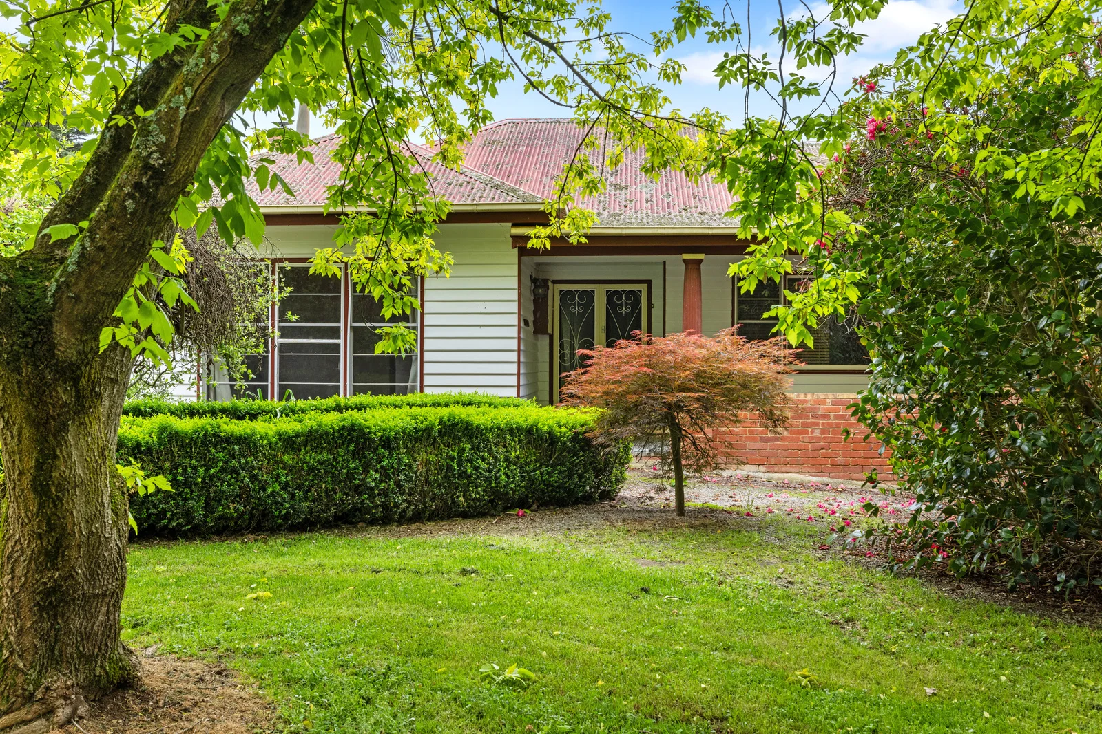 Additional image 4 of 335 Harveys Road, Ruby VIC 3953