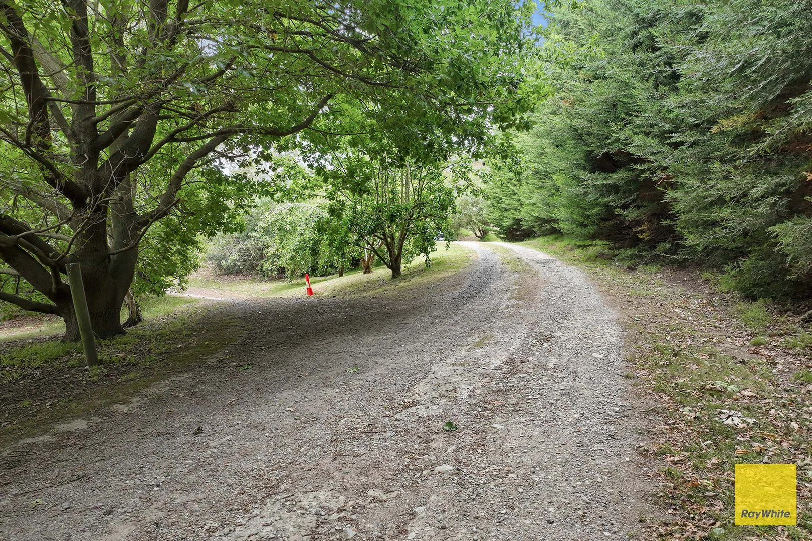 Additional image 4 of 5165 South Gippsland Highway, Toora VIC 3962