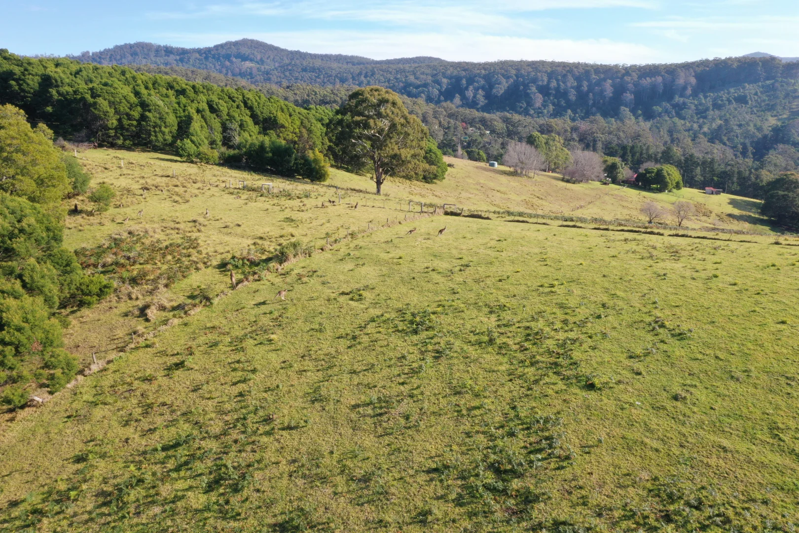 Additional image 20 of Lot 23 Fourter Road, Nethercote NSW 2549