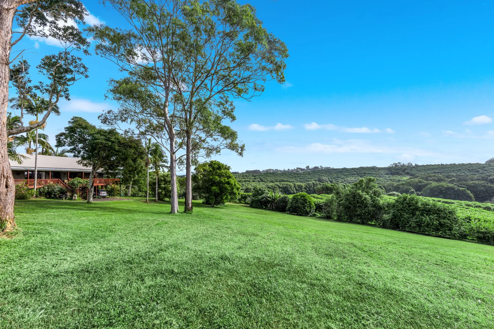 Additional image 39 of 617 Hinterland Way, Newrybar NSW 2479