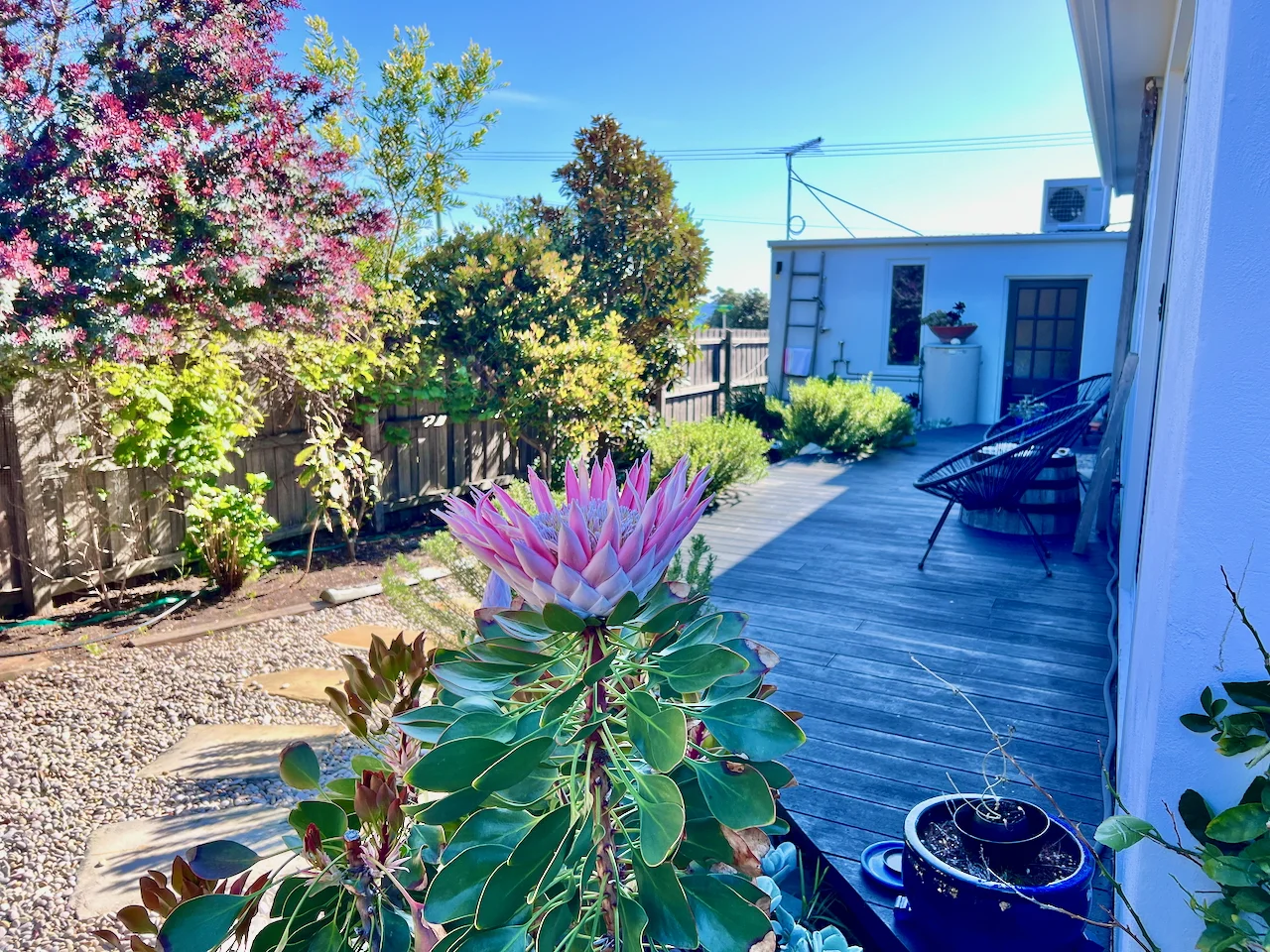 Additional image 21 of 2/2 Tasman Highway, Bicheno TAS 7215