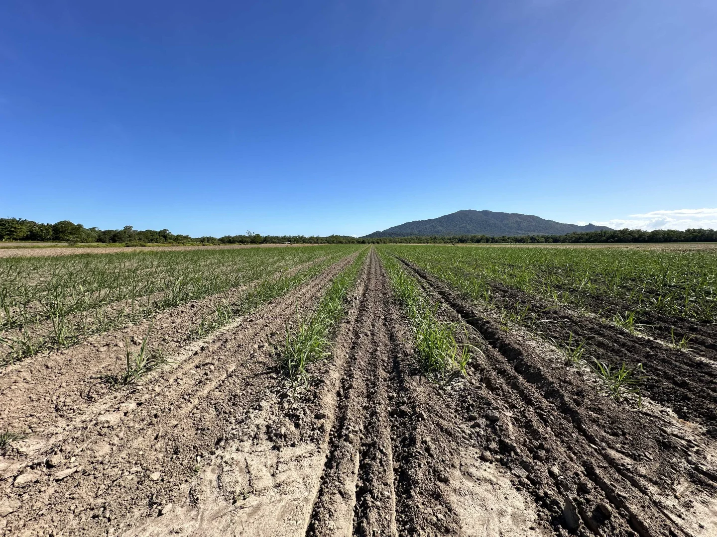 Additional image 26 of East Feluga QLD 4854