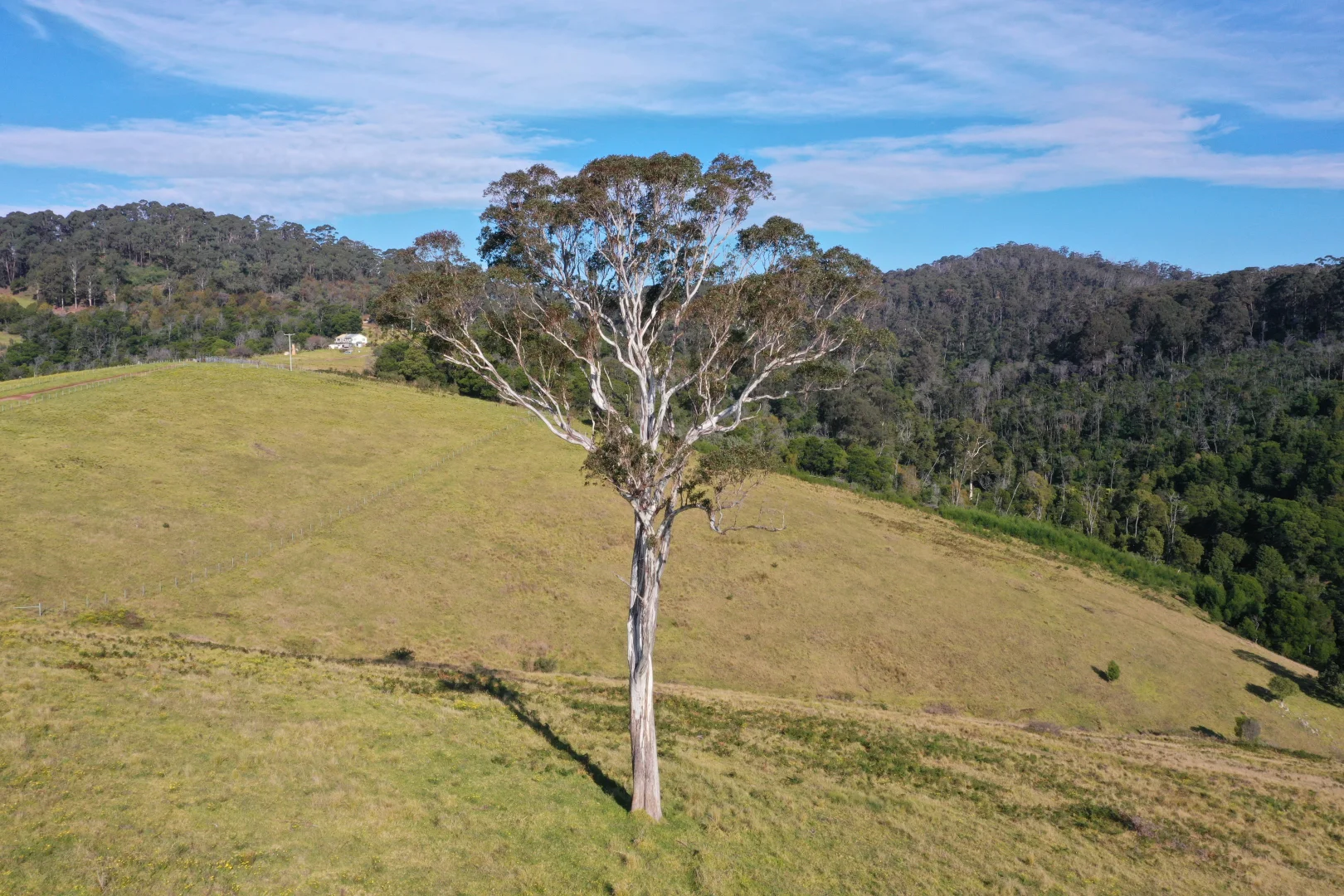 Additional image 14 of Lot 193 Fourter Road, Nethercote NSW 2549