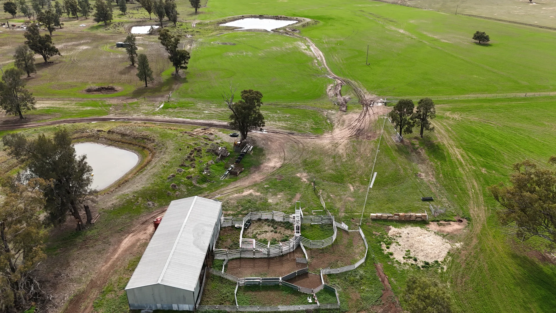 Additional image 11 of 877 Mount Tallabung Road, Forbes NSW 2871