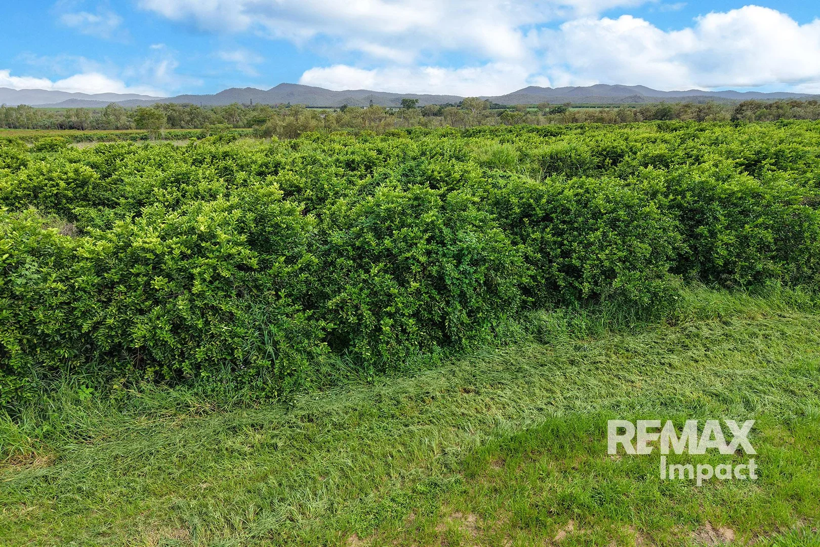 Additional image 13 of 523 Mutchilba Road,, Mutchilba QLD 4872