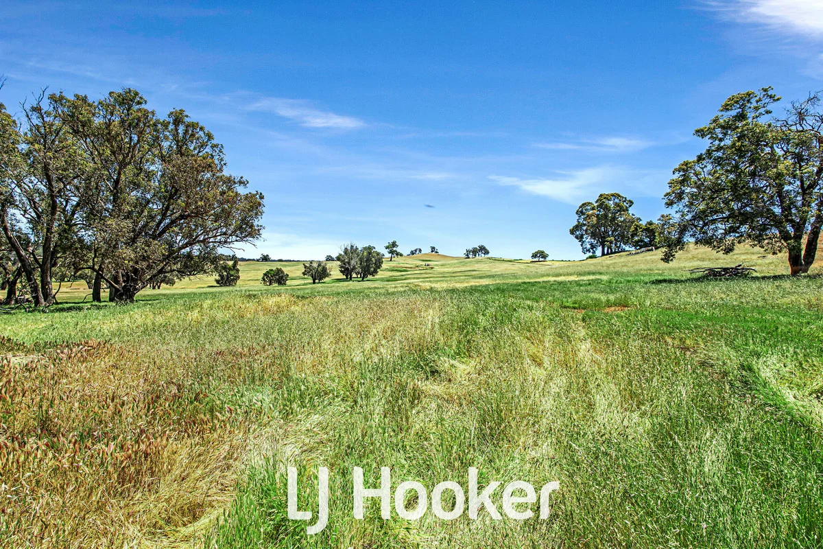 Additional image 39 of 1 on DP 426021 Bridgetown - Boyup Brook Road, Boyup Brook WA 6244