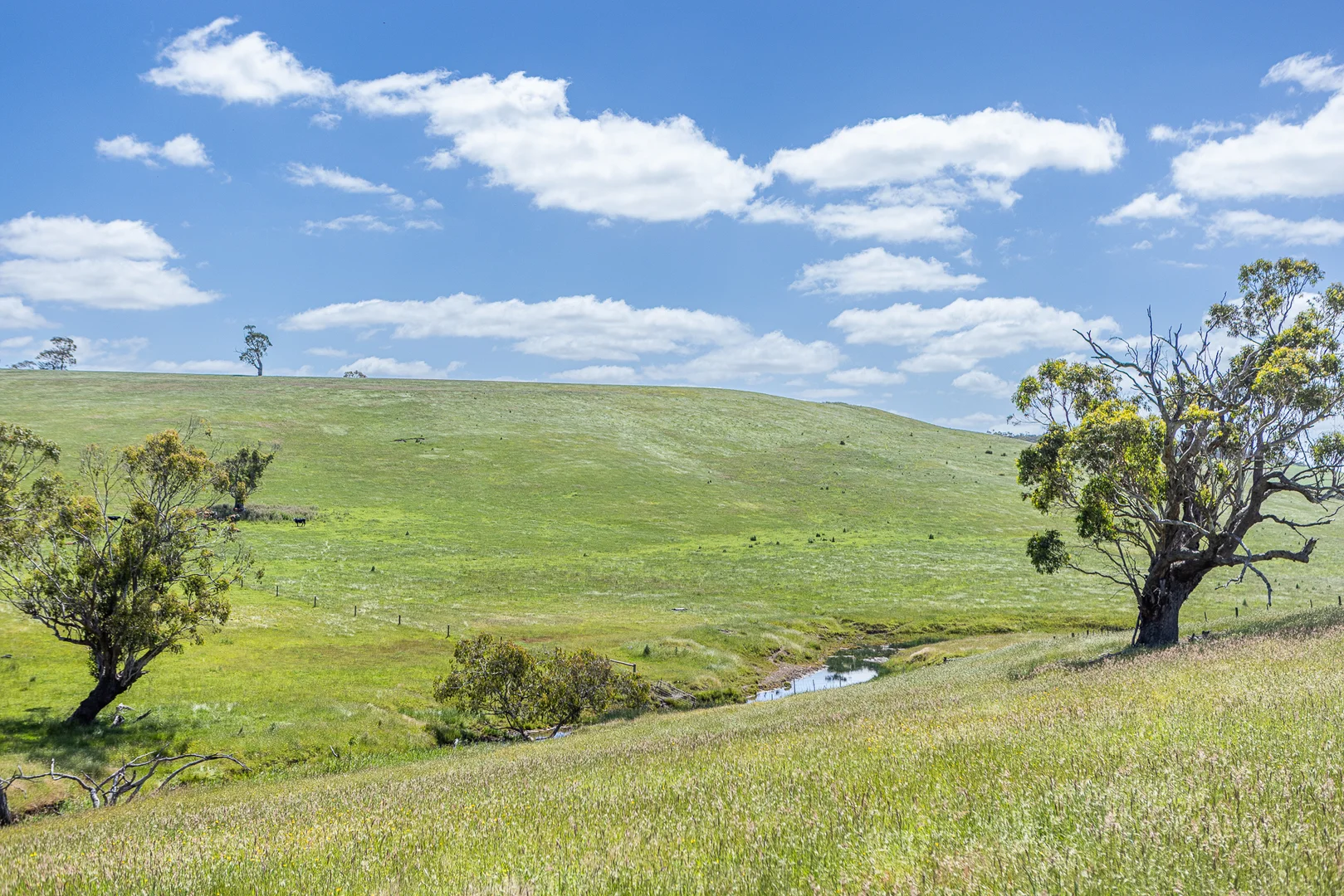 Additional image 11 of 1090 Six Chain Road, Killara VIC 3312