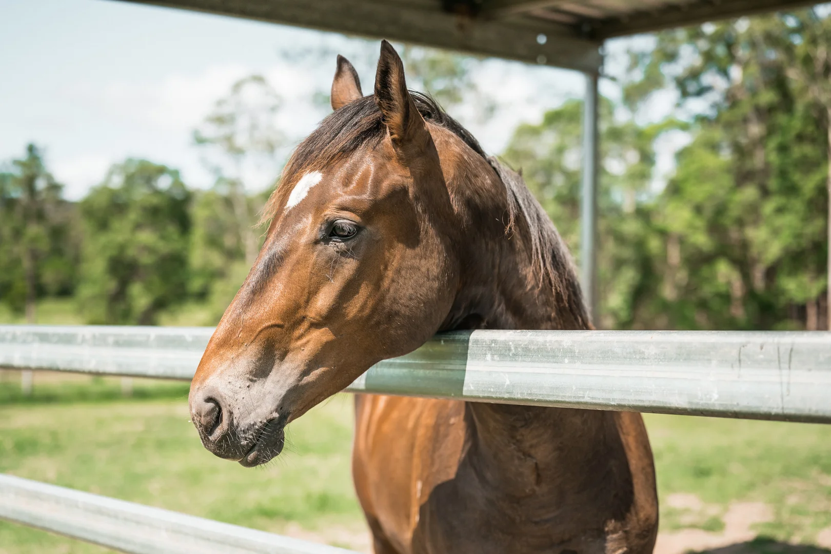 Additional image 19 of 1507 Cooroy Belli Creek Road, Ridgewood QLD 4563