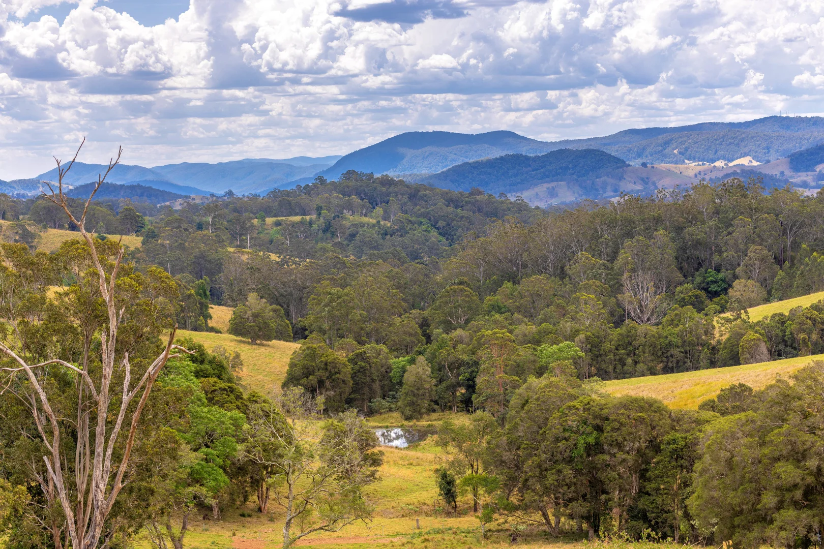 Additional image 23 of 129 Days Road, Belbora NSW 2422