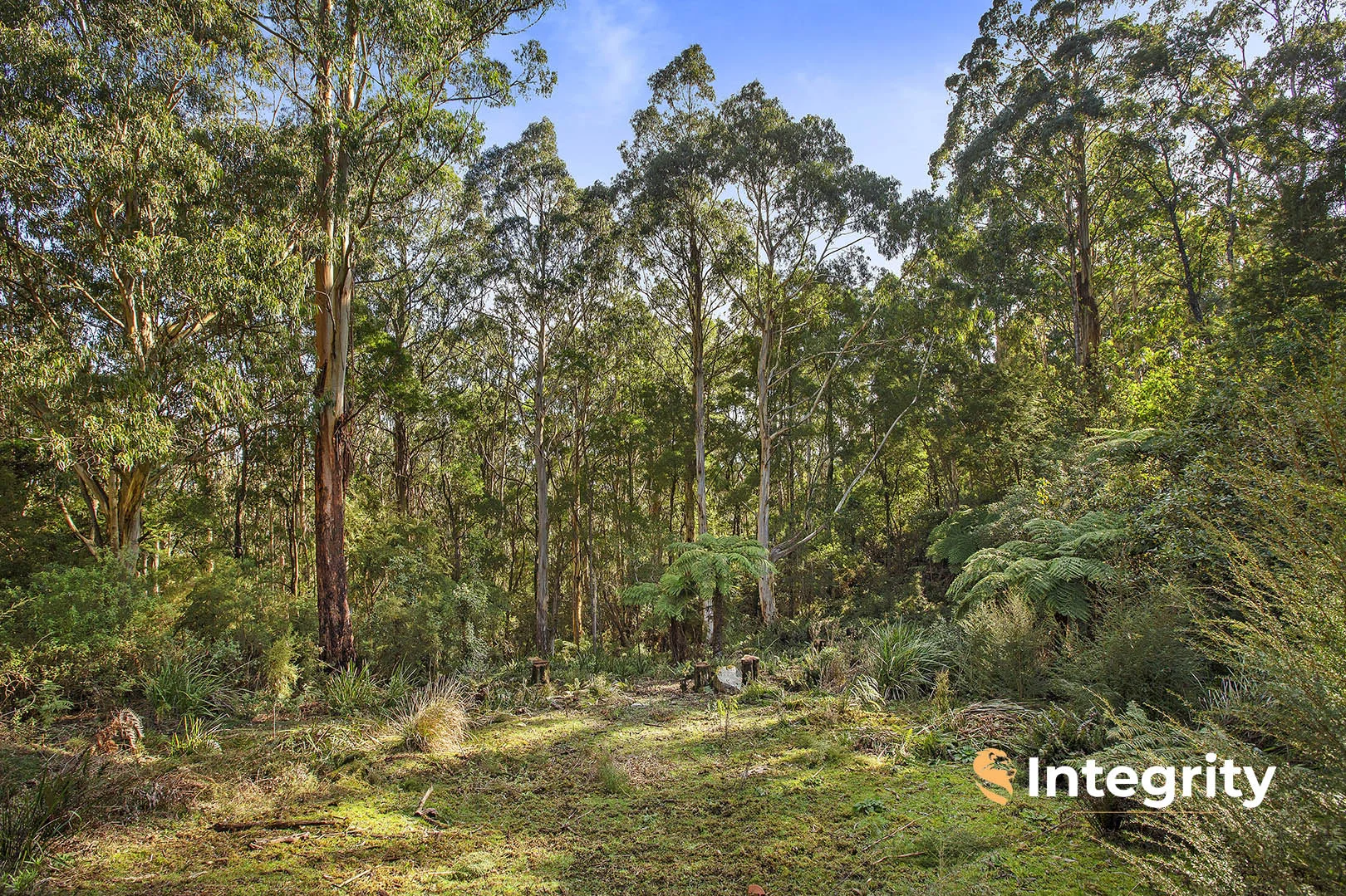 Additional image 14 of 23 Westridge Road, Mount Toolebewong VIC 3777