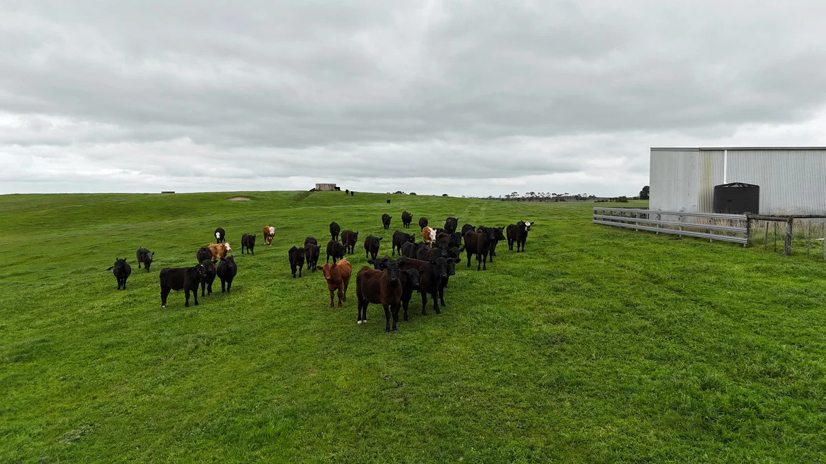 Additional image 8 of 215 Cundare-Duverney Road, Cundare North VIC 3251