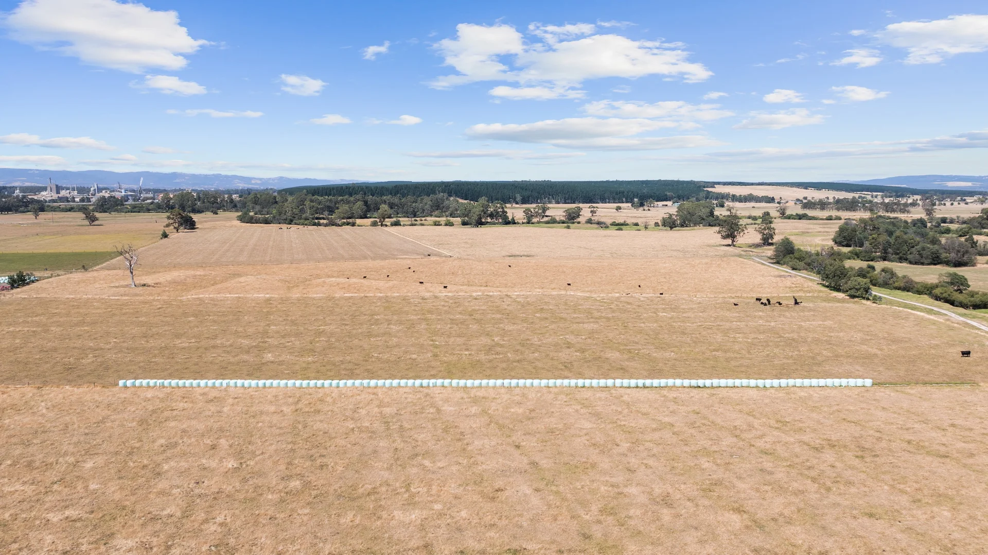 Additional image 5 of 87 Christensens Road, Tyers VIC 3844