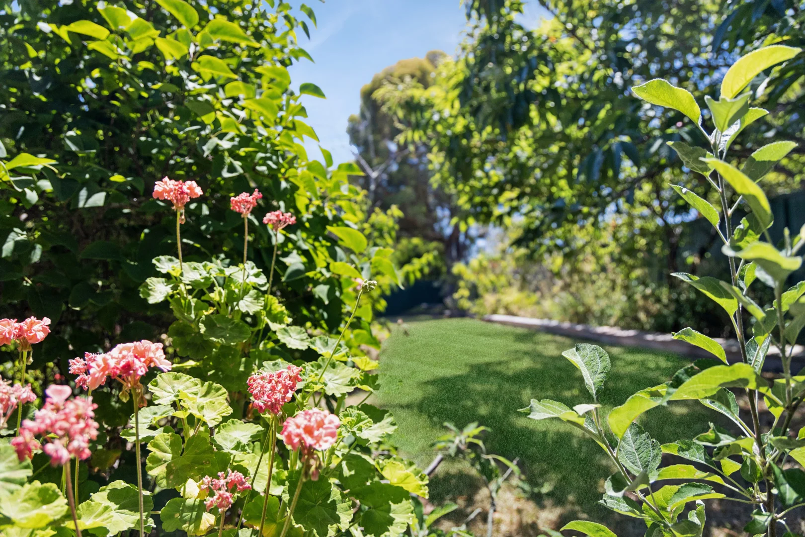 Additional image 16 of 1 Albert Lane, Daylesford VIC 3460