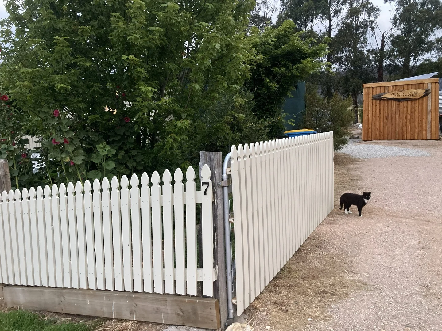 Additional image 6 of 7 Fleming Street, Fingal TAS 7214