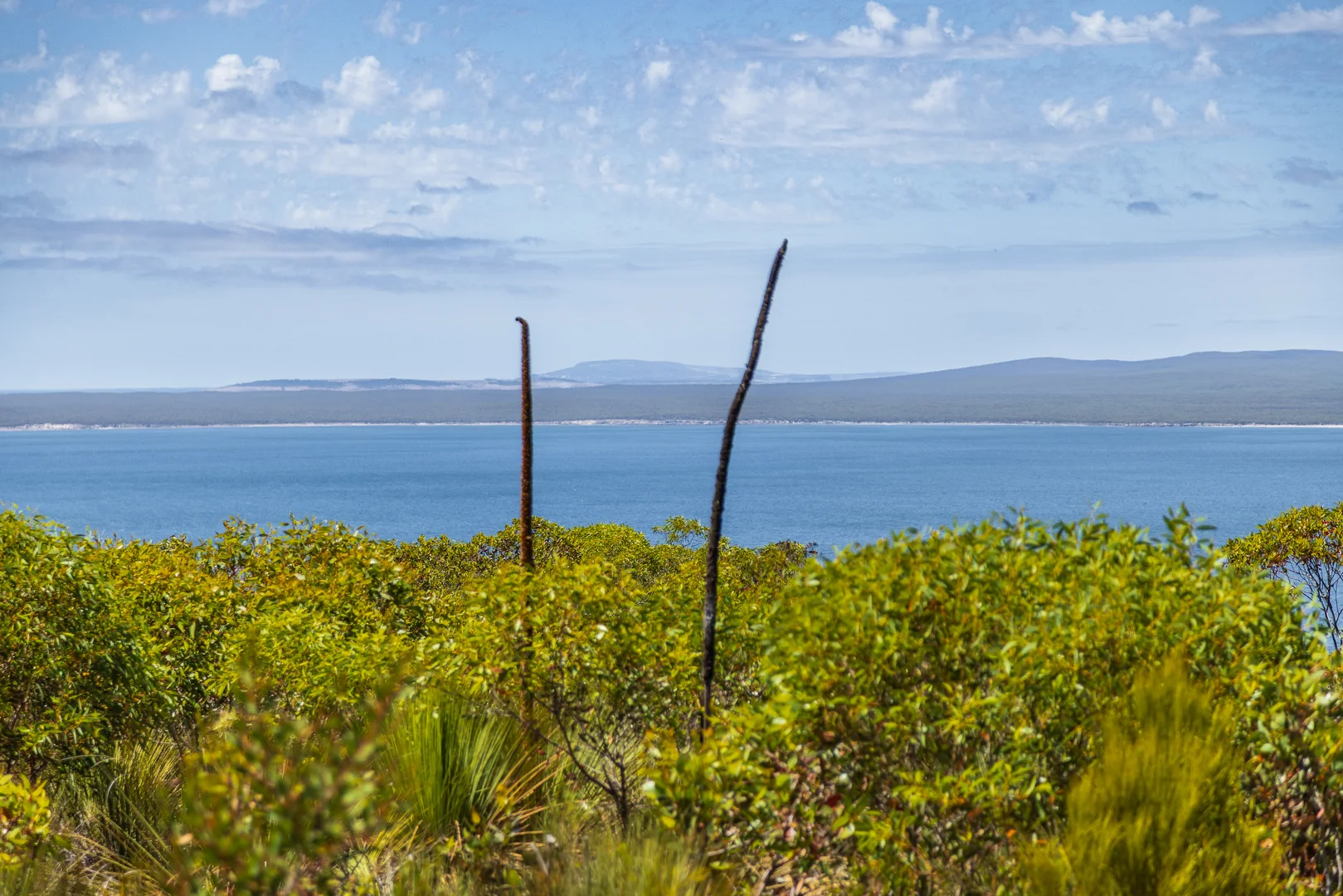 Additional image 14 of 2 Proper Bay Road, Duck Ponds SA 5607