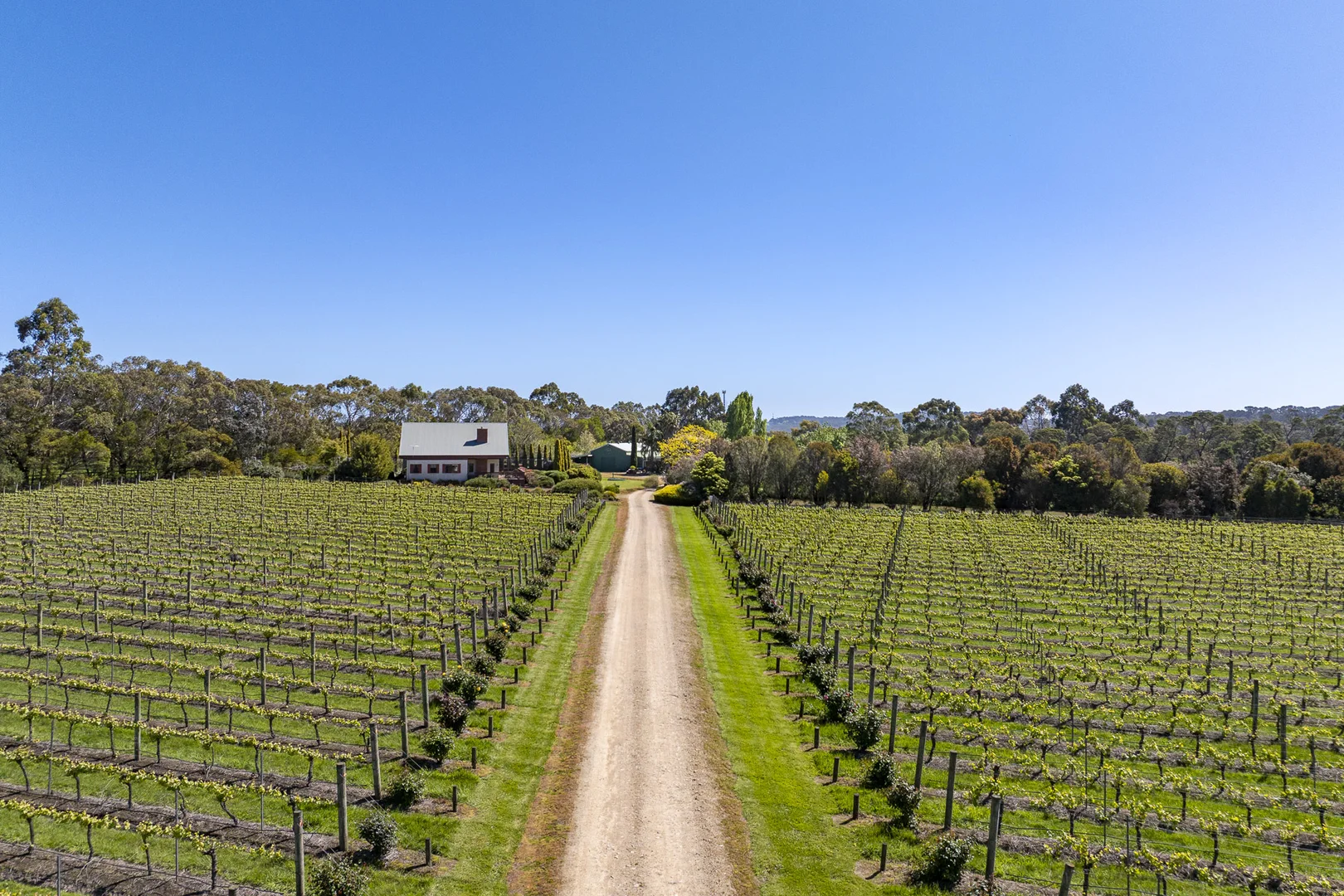 Additional image 4 of 437 Stumpy Gully Road, Balnarring VIC 3926