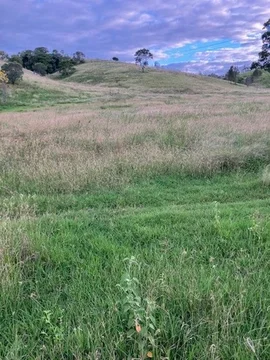 Additional image 34 of 142 PERRY RIVER FARMS RD, Morganville QLD 4671