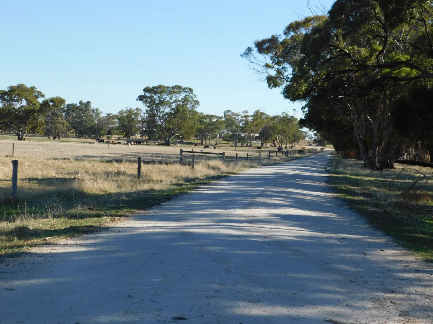 Additional image 18 of 1878 Cannawigara Road, Bordertown SA 5268