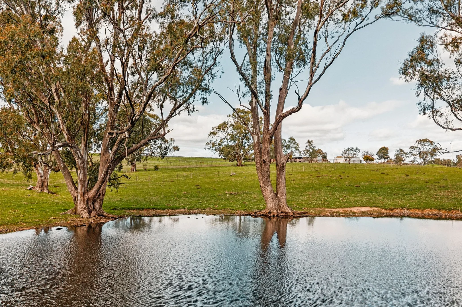 Additional image 11 of 870 Valley Road, Glenhope VIC 3444