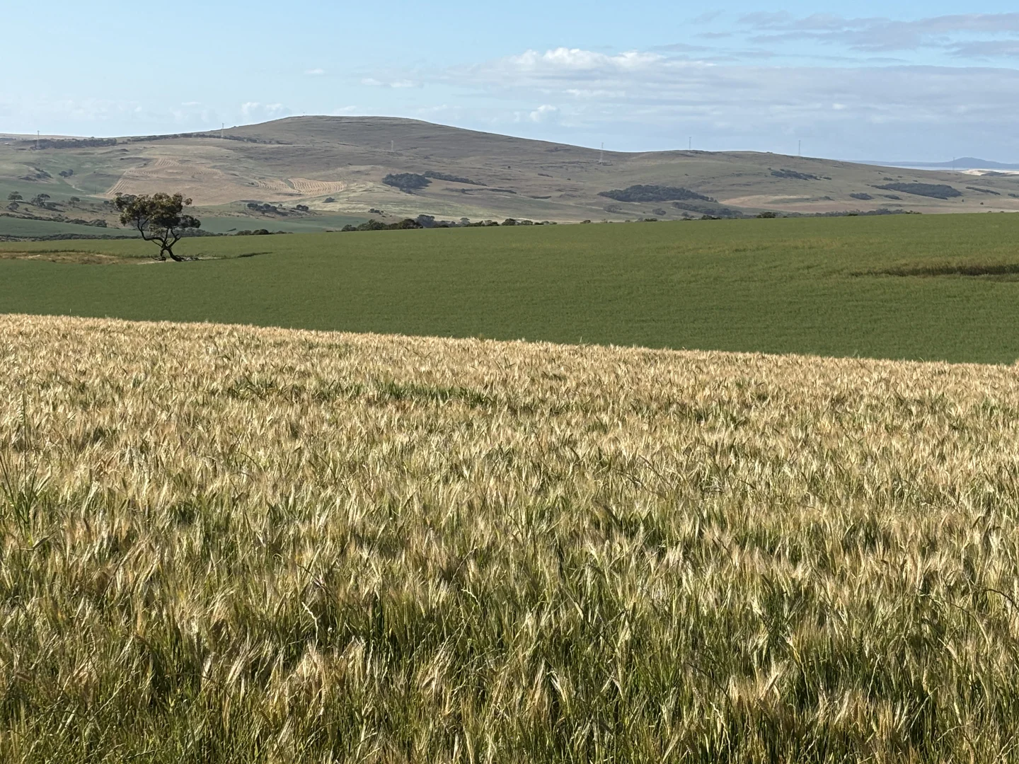 Additional image 19 of 251 Reservoir Drive, Whites Flat SA 5607