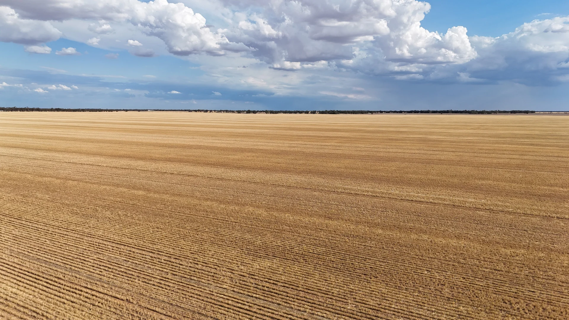 Additional image 5 of "McErvales" Culgoa-Ultima Road, Culgoa VIC 3530