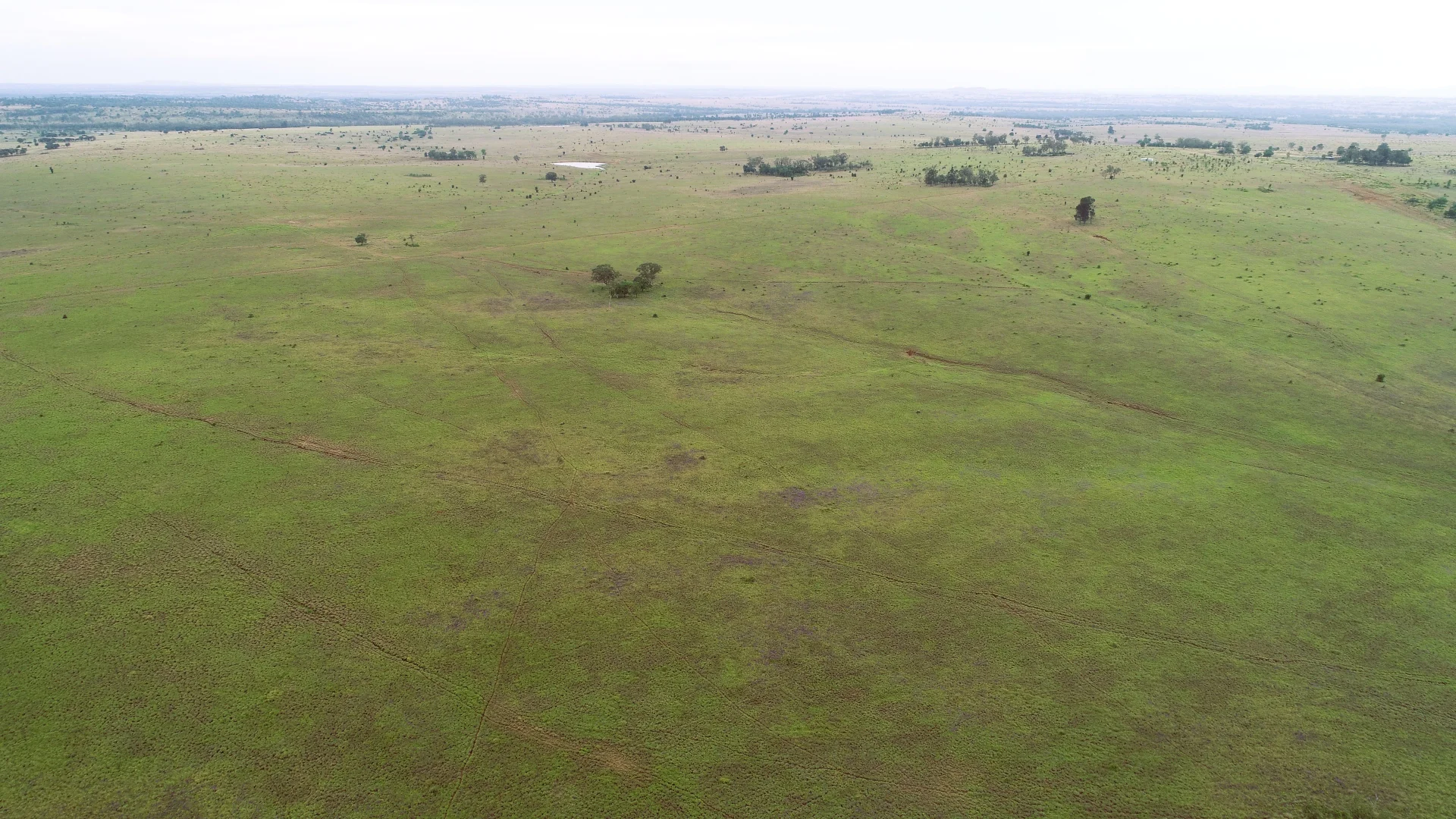 Additional image 7 of 'Bracco' Orallo Road, Roma QLD 4455