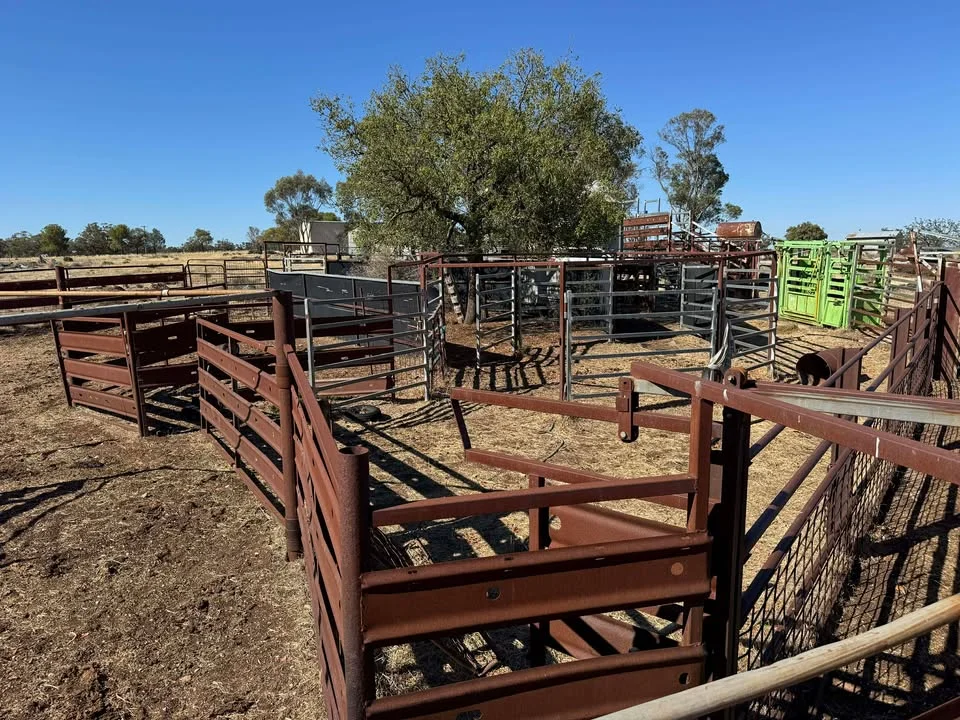 Additional image 4 of 117 Hillside Lane, Parkes NSW 2870