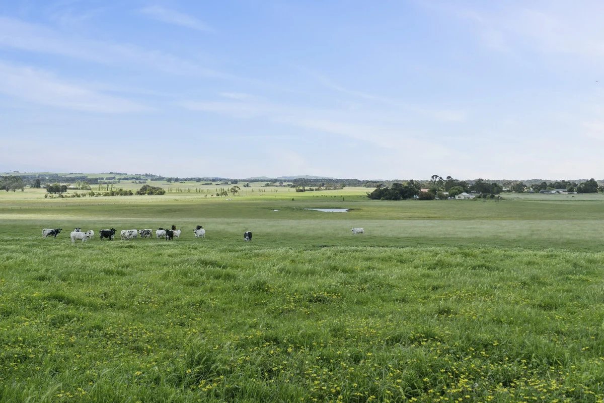 Additional image 9 of 45 Holmchase Road, Elliminyt VIC 3250