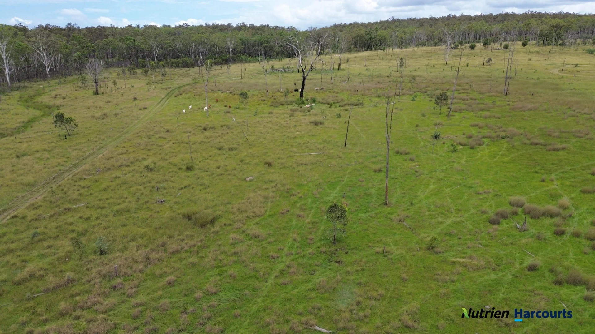 Additional image 10 of 754 Pedersens Road, Dangore QLD 4610