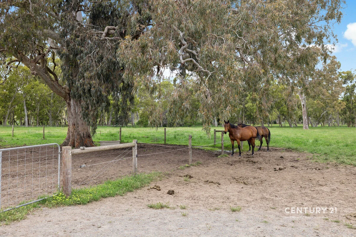 Additional image 32 of 118 Brookman Road, Meadows SA 5201