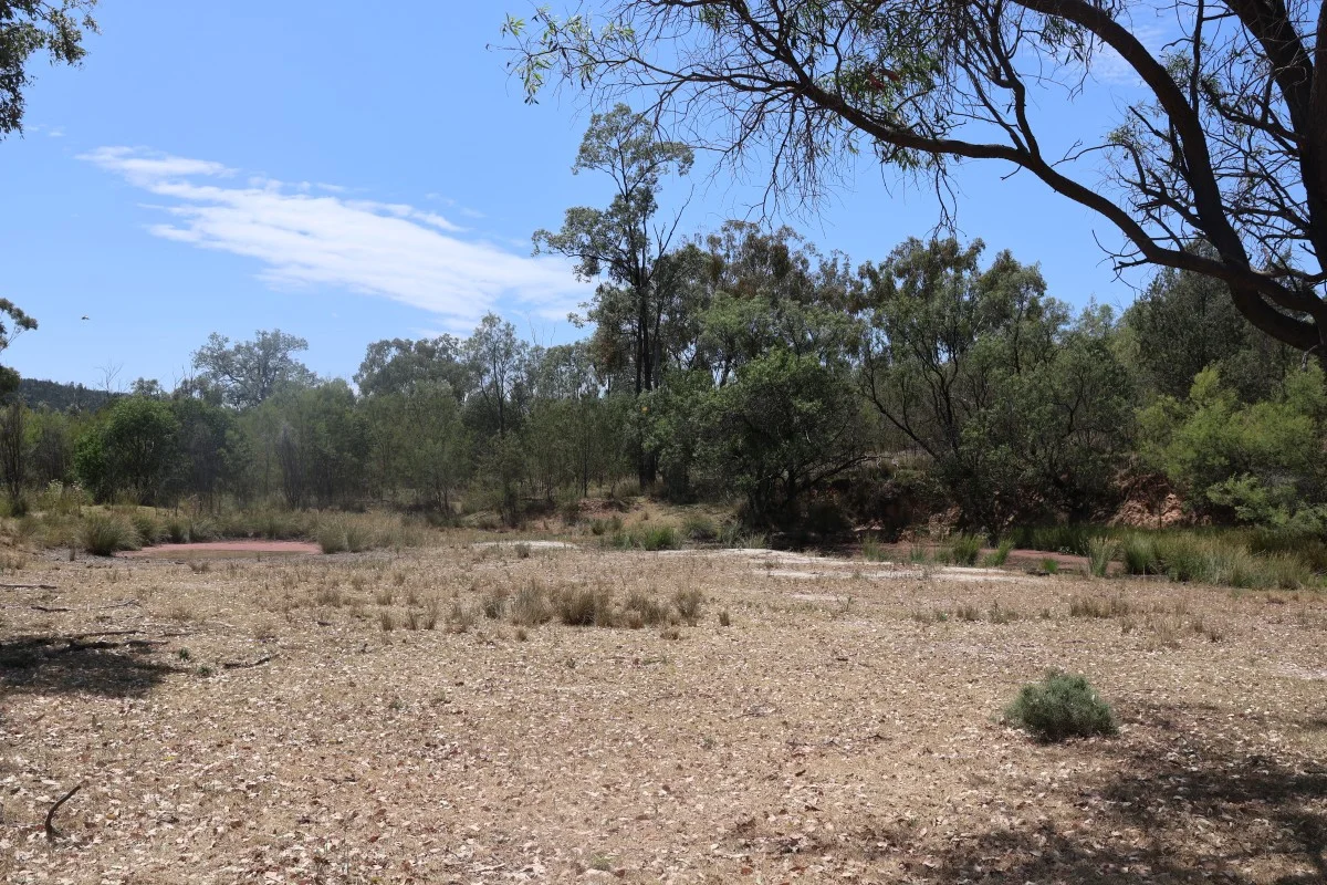 Additional image 6 of 957 Killarney Gap Road, Bingara NSW 2404