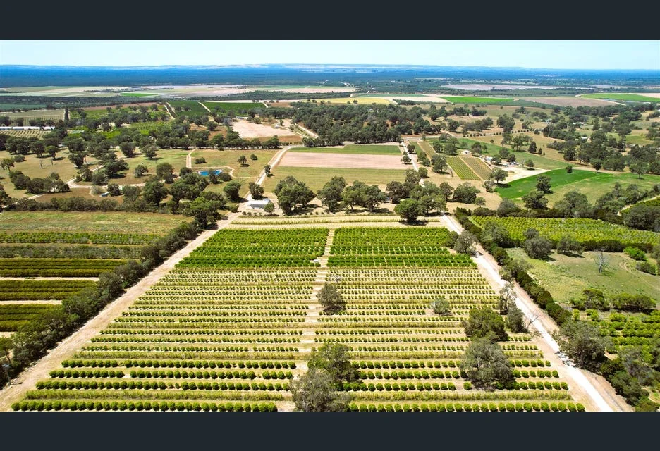 Additional image 4 of 209 Rangeview Drive, Wanerie WA 6503