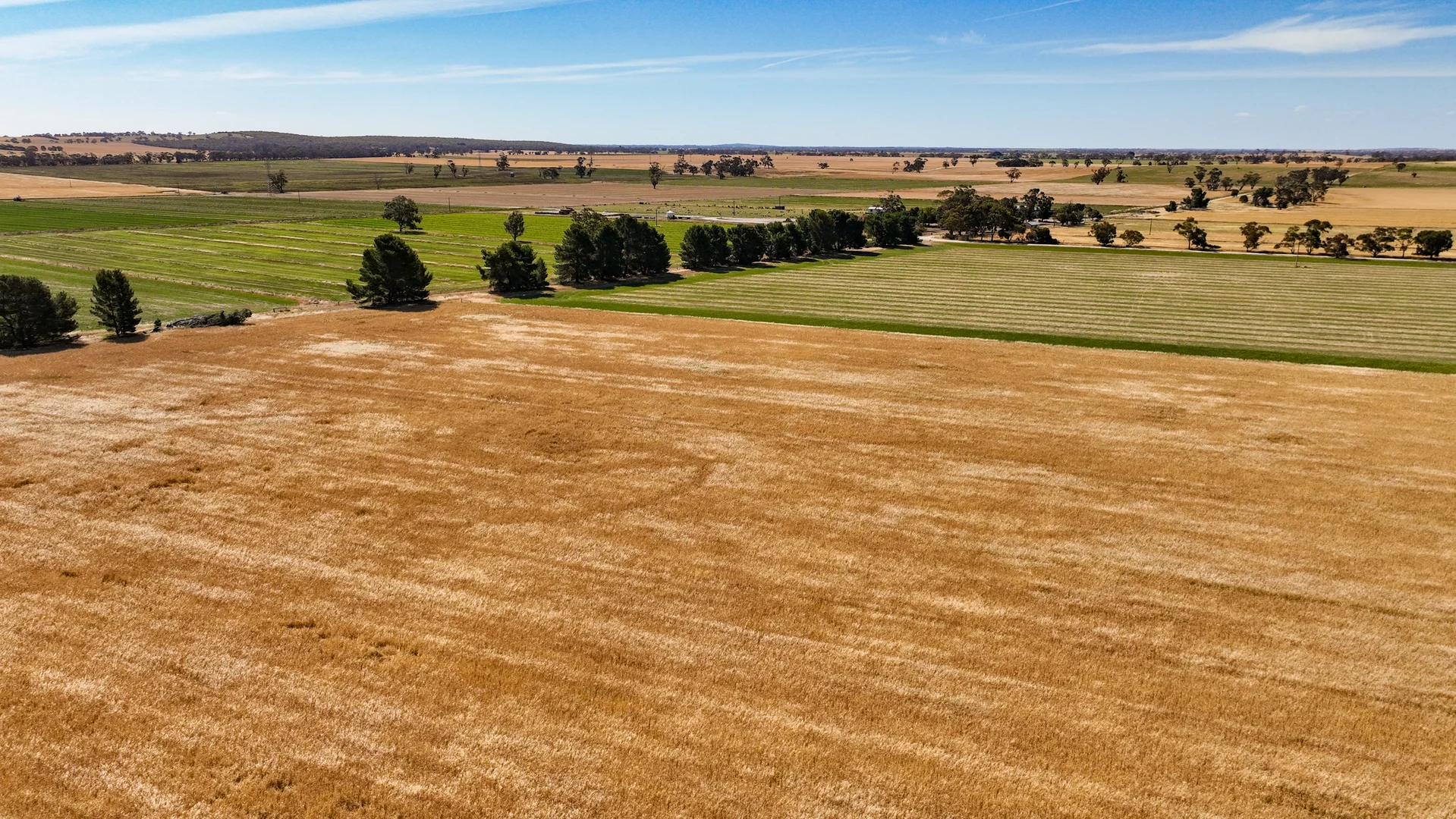 Additional image 25 of 2212 CAREW ROAD, Mundulla SA 5270