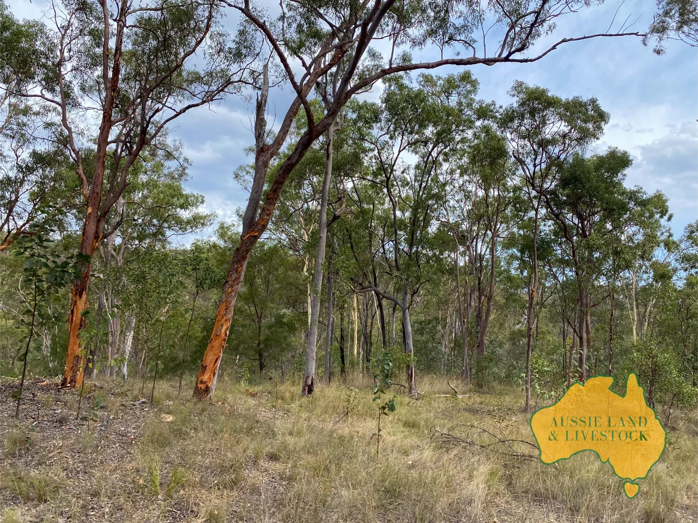 Additional image 21 of 95 Monto Mount Perry Road, Tellebang QLD 4630