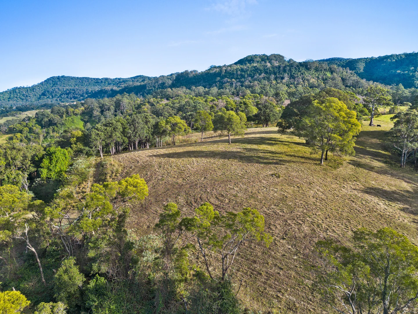 Additional image 30 of 110 Devitts Lane, Meroo Meadow NSW 2540