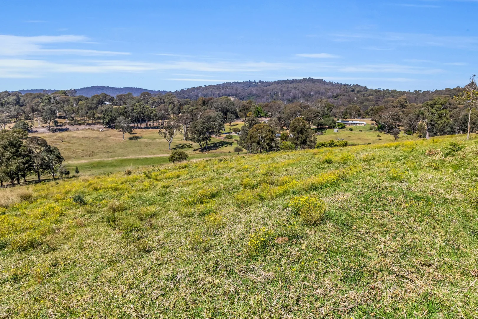 Additional image 33 of 90 Kerrisons Lane, Bega NSW 2550