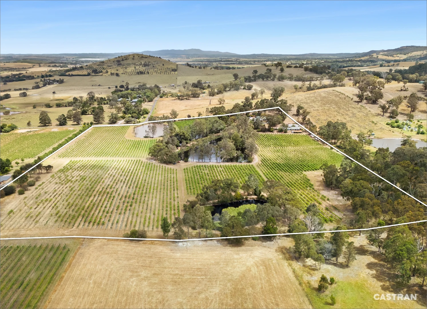 Additional image 31 of 110 Wills Road, Dixons Creek VIC 3775