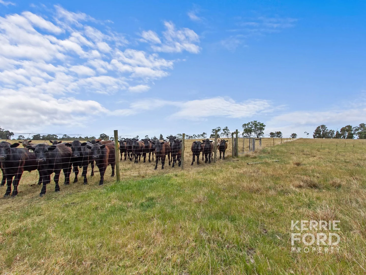 Additional image 14 of Lot 2/810 Tinamba Seaton Road, Tinamba VIC 3859