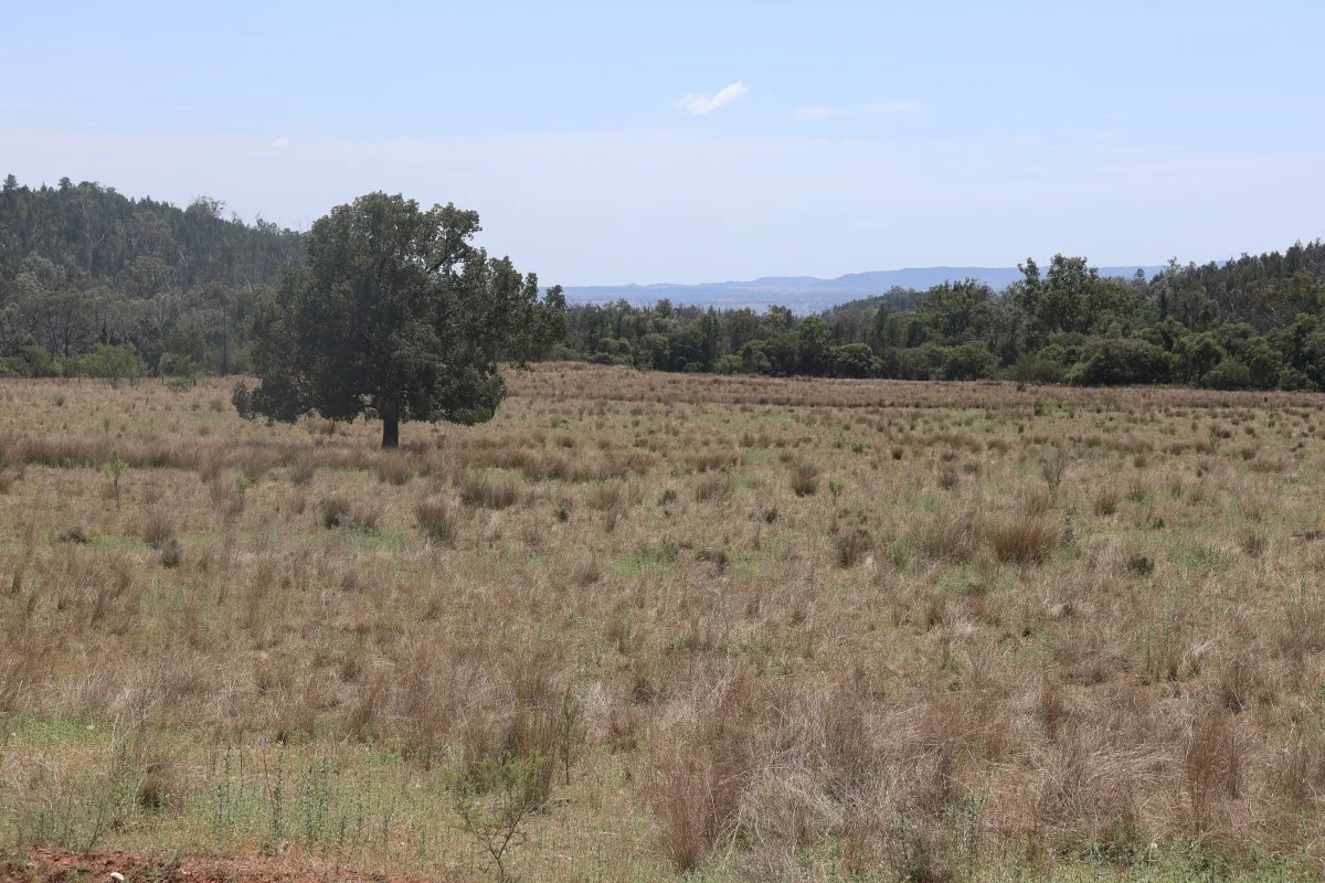 Additional image 15 of 957 Killarney Gap Road, Bingara NSW 2404