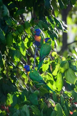 Additional image 21 of 145/61-79 Mandalay Avenue, Nelly Bay QLD 4819