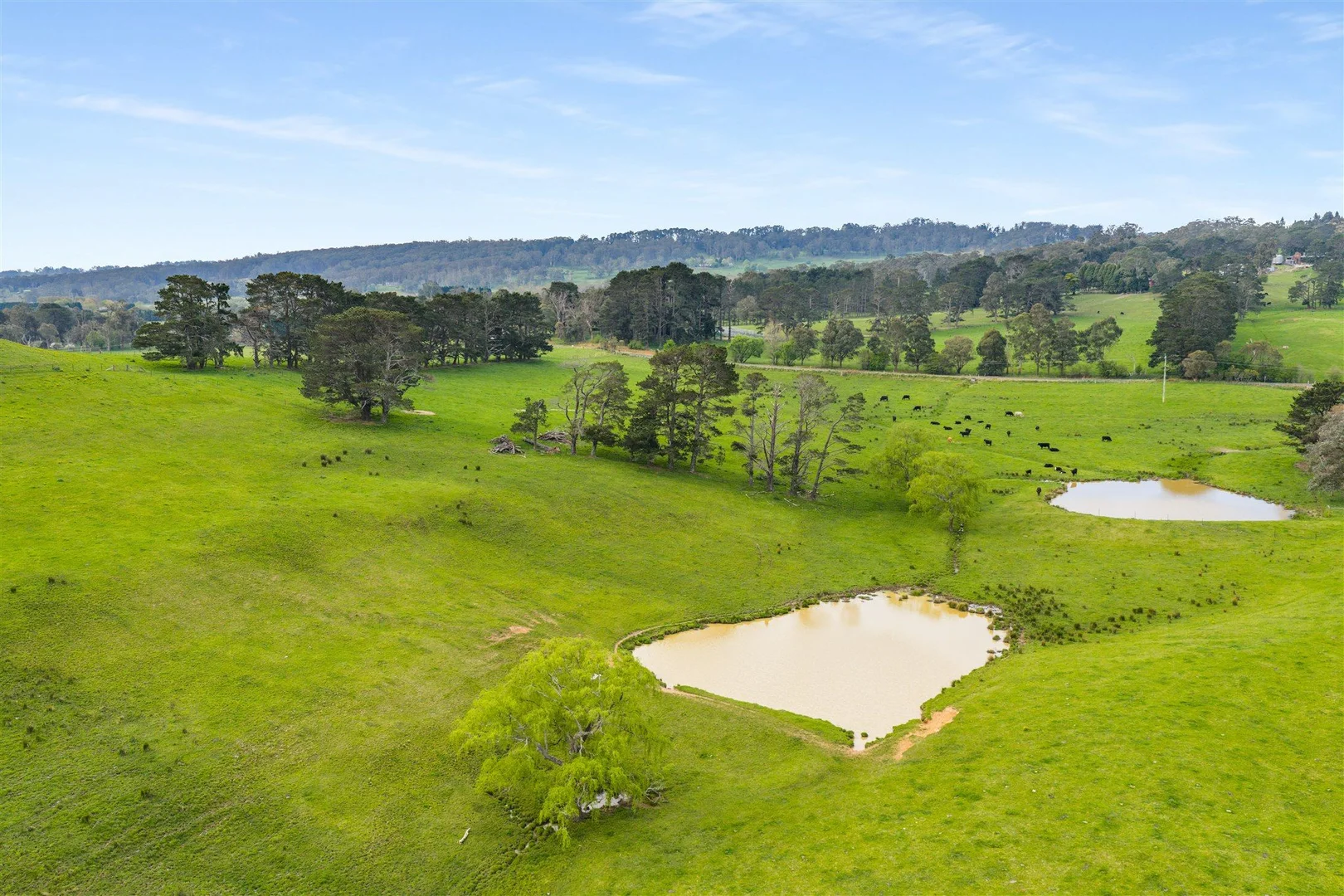 Additional image 20 of 790 Kangaloon Road, Glenquarry NSW 2576