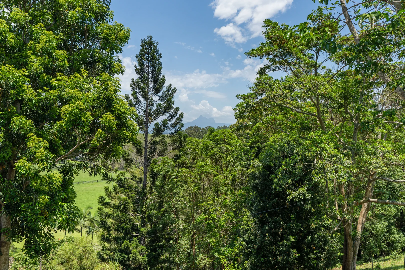 Additional image 29 of 1130 Terranora Road, North Tumbulgum NSW 2490