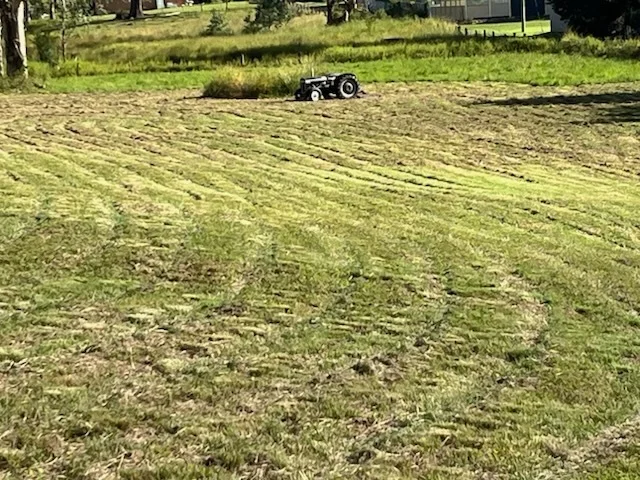 Additional image 10 of 26 Bonalbo Street, Woodenbong NSW 2476